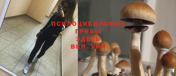прущий лед Арсеньев