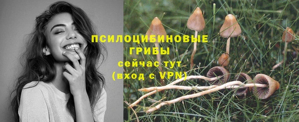 а пвп мука Аркадак