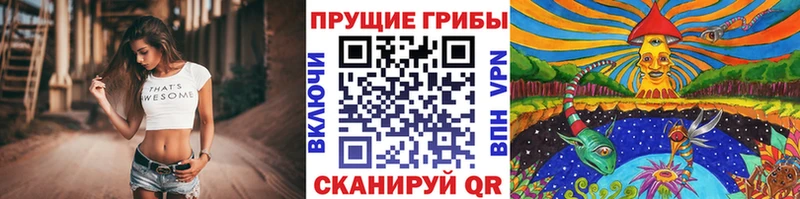 ссылка на мегу tor  Сергач  Галлюциногенные грибы Cubensis  сколько стоит 